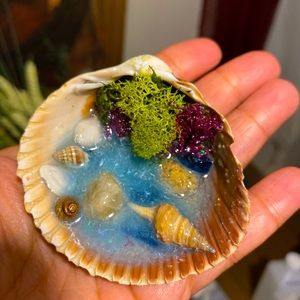 Sea shell craft